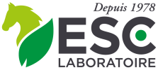 Logo ESC vectorisé